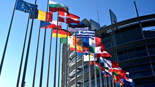 Flaggen der EU-Staaten und der Ukraine sowie die EU-Flagge wehen vor dem EU-Parlament in Straßburg.  (Foto: picture alliance / Panama Pictures | Dwi Anoraganingrum)