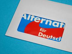 Das Logo der Partei AfD ist im Sichtfenster eines Briefumschlags zu sehen (Foto: IMAGO / Steinach)