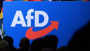 AfD-Logo bei einem Parteitag (Foto: picture alliance/dpa | Bernd von Jutrczenka)