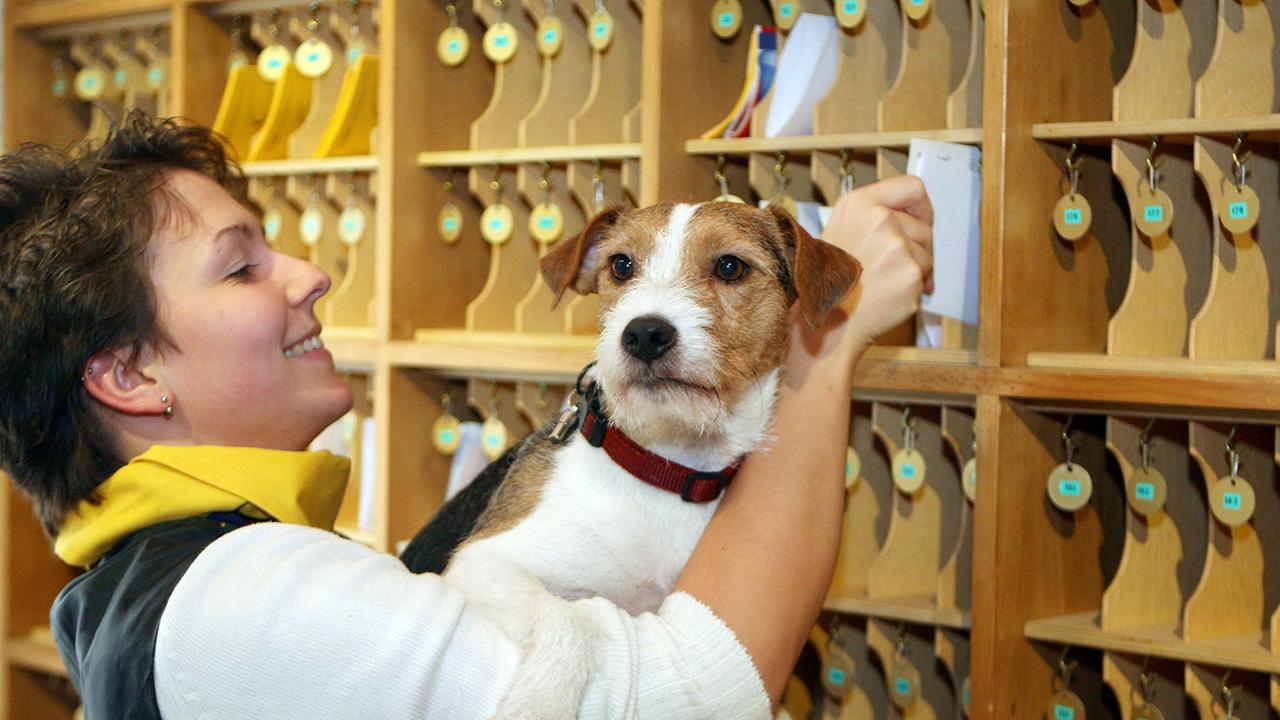 SR.de Wo Hunde im Saarland willkommen sind