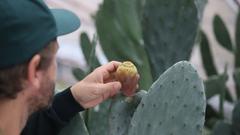 Designer Mark Braun hält die Frucht eines Kaktus in der Hand (Foto: CIAV Meisenthal / Communauté de Communes du Pays de Bitche)