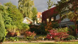 Sr De Fehlende Vision Fur Fruheren Botanischen Garten