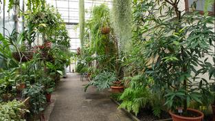 Sr De Keine Landesgelder Fur Botanischen Garten