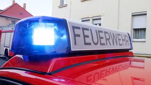 Ein Feuerwehrauto mit Blaulicht (Symbolbild) (Foto: Pixabay / Rico_Loeb)