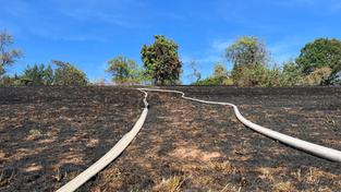 Flächenbrand in Lautenbach,  (Foto: Feuerwehr)