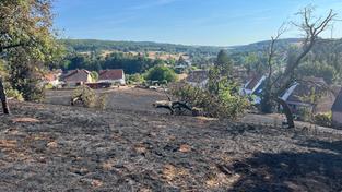 Flächenbrand in Lautenbach (Foto: Feuerwehr)