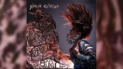 Sr De Gloria Estefan Brazil 305