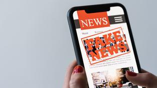 Online Fake-News auf einem Handy (Symbolbild) (Foto: IMAGO / Zoonar)