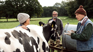 Viele Kühe und ein schwarzes Schaf (Foto: ARD Degeto/Christine Schröder)