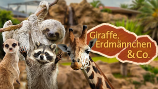 Logo für Giraffe, Erdmännchen & Co (Foto: SR)