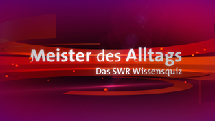 Meister des Alltags Logo NEU HD 2016 (Foto: © SWR, honorarfrei)