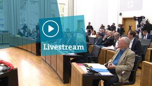 Livestream -Aus dem Landtag (Foto: SR)