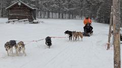 Abenteuer Lapplandreise - Schlittenhundetour (Foto: SR/Christoph Borgans)