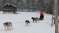 Abenteuer Lapplandreise - Schlittenhundetour (Foto: SR/Christoph Borgans)