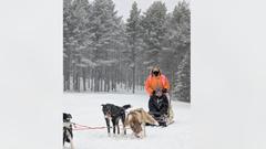 Abenteuer Lapplandreise - Schlittenhundetour (Foto: SR/Christoph Borgans)