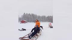 Abenteuer Lapplandreise - Schlittenhundetour (Foto: SR/Christoph Borgans)