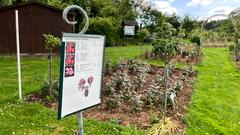 Eine Hinweistafel mit den Rosenarten im Rosengarten in Welschbach (Foto: SR/Corinna Kern)