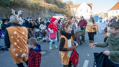 Der Fastnachtsumzug in Blieskastel (Foto: SR/Pasquale D'Angiolillo)