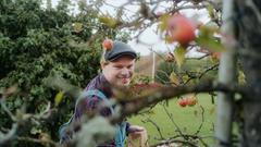 Felix vom Obst- und Gartenbauverein beim Ernten der Äpfel (Foto: Jonas Kammer)