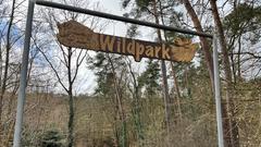 Das Eingangstor zum Wildpark bei Differten (Foto: SR/Corinna Kern)