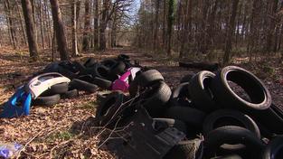 Müll und alte Reifen aus Deutschland liegen im Wald im grenznahen Frankreich (Foto: SR)