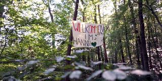 Banner im Saarbrücker Stadtwald „Hanni“ (Foto: SR)