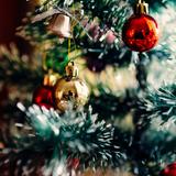 Ein geschmückter Tannenbaum (Foto: pixaby/ Free-Photos)